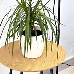 Salty Breeze In Center Of Apartman